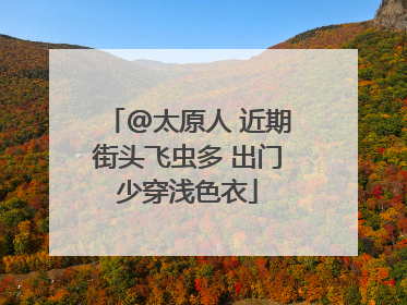 @太原人 近期街头飞虫多 出门少穿浅色衣