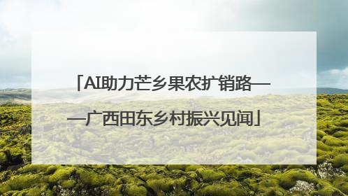 AI助力芒乡果农扩销路——广西田东乡村振兴见闻