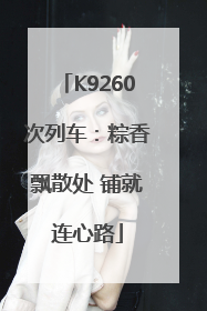 K9260次列车：粽香飘散处 铺就连心路