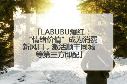 LABUBU爆红：“情绪价值”成为消费新风口，激活顺丰同城等第三方即配